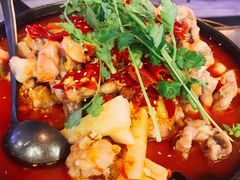 泡椒牛蛙-麻辣空间