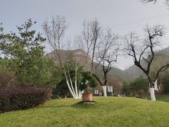 -佛慧山