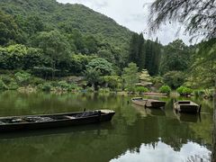 -深圳仙湖植物园