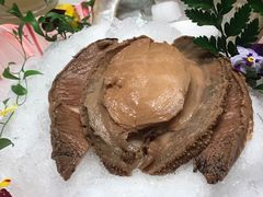 -蝶园·装修中(BFC外滩金融中心店)