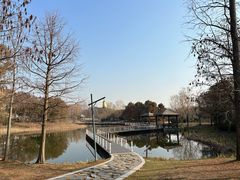 -同里国家湿地公园