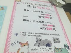 -伟伟宠物医院·瑞派猫友好医院·猫科(光谷店)