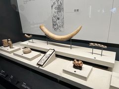 -广西壮族自治区博物馆