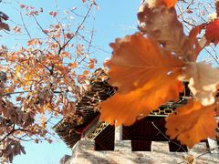 -北京十三陵国家森林公园蟒山景区