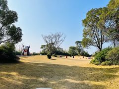 -上海崇明金茂凯悦酒店