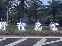 -野狸岛