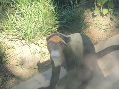 -石家庄市动物园