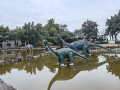 -自贡恐龙博物馆
