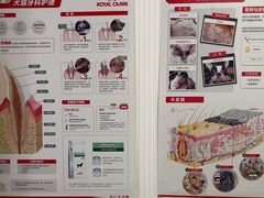 -守诺宠物医院·眼科· 特色牙科·异宠专科(虹口店)
