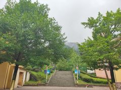 -重庆海昌加勒比海水世界