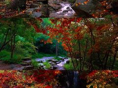 -九如山休闲旅游度假区
