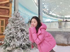 -世界之窗阿尔卑斯冰雪世界
