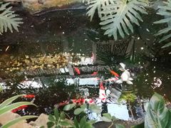 -聚缘堂·海鲜私房菜(松岭路店)