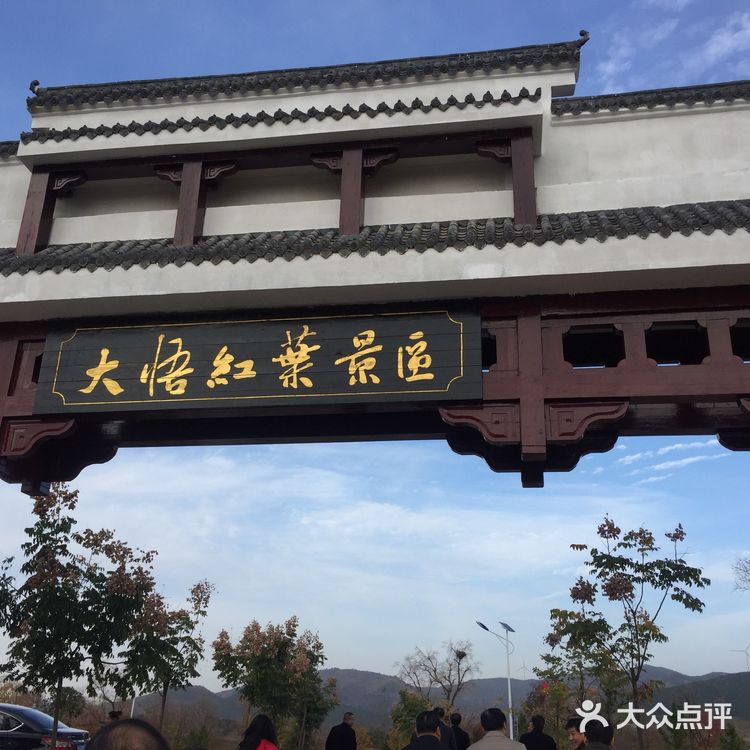 大悟红叶早已向往，今天终于来到四姑镇红叶景区