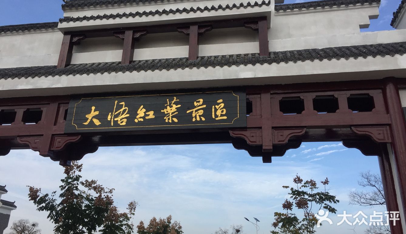 大悟红叶早已向往，今天终于来到四姑镇红叶景区