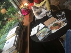 -咖法森林·咖啡  酒吧(天河店)