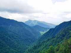 -瓦屋山景区