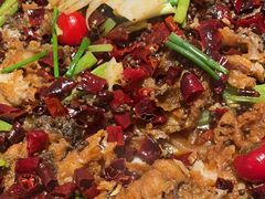 -老板恋上鱼(恒隆广场店)