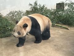 -杭州动物园
