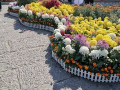 -宜昌富力皇冠假日酒店·咖啡1号西餐厅