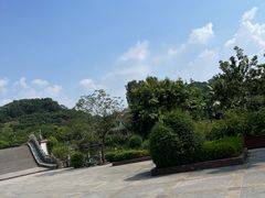 -大屏嶂森林公园