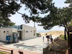 -海云台海滩