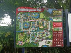 -广州长隆飞鸟乐园