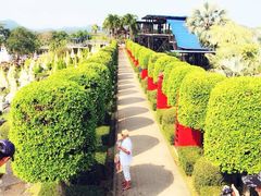 NONG&nbsp;NOOCH&nbsp;TROPICAL&nbsp;GARDEN-东芭乐园