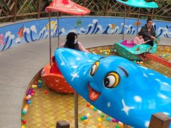 -南宫五洲植物乐园