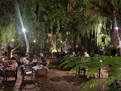 -Fern Forest Cafe