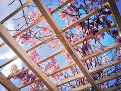 -星巴克(天津鲁能中心第三店)