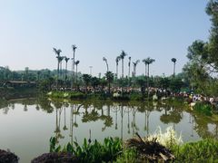 -枫香湖儿童公园