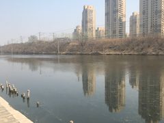 -前关湿地公园