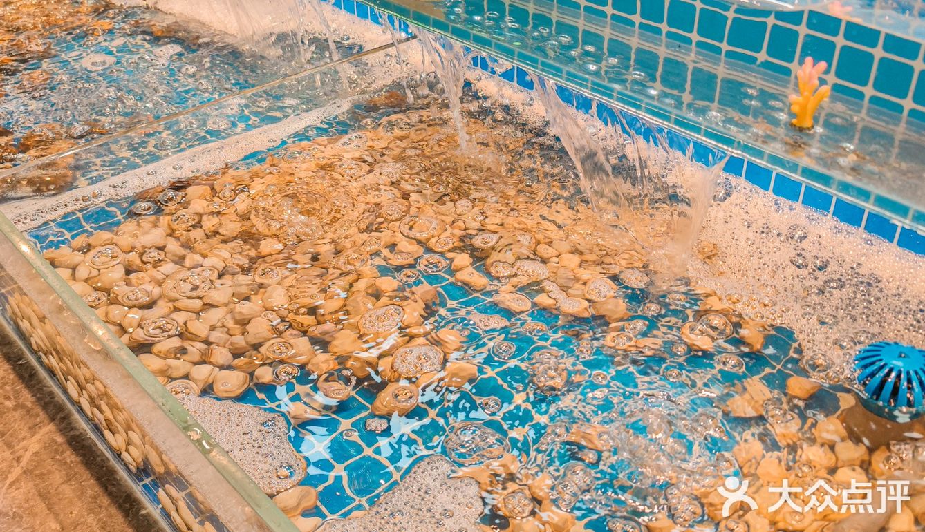 蒸着吃的海鲜自助，撑到了撑到了[馋]