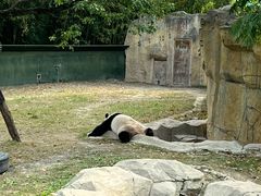 -上海野生动物园