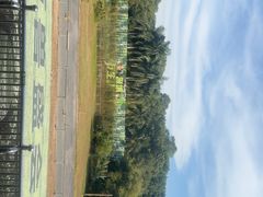 -深圳野生动物园