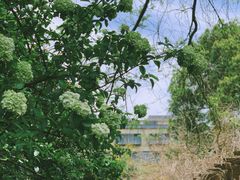 -浙江大学(玉泉校区)