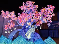 -海合安武汉极地海洋公园