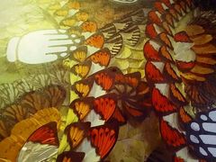 -上海昆虫博物馆