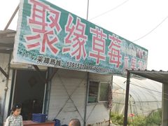 -聚缘草莓瓜果采摘基地(堵家村2店)