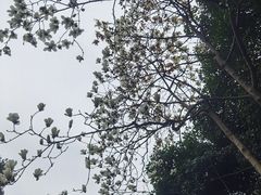 -临平公园(临平街道)