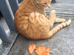 -上海财经大学-新食堂