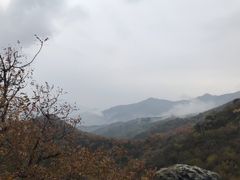 -北京鹫峰国家森林公园