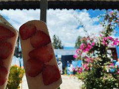 -璞真扎染博物馆