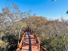 -大岭沟猕猴桃谷风景区