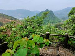 -玉石林风景区