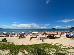 -西涌国际滨海旅游区