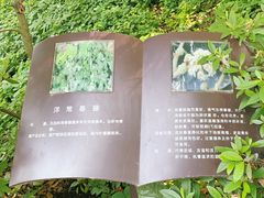 -南山植物园