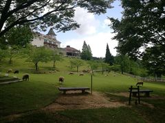 -神户市立六甲山牧场