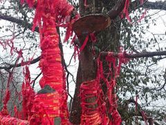 武当山-武当山风景区